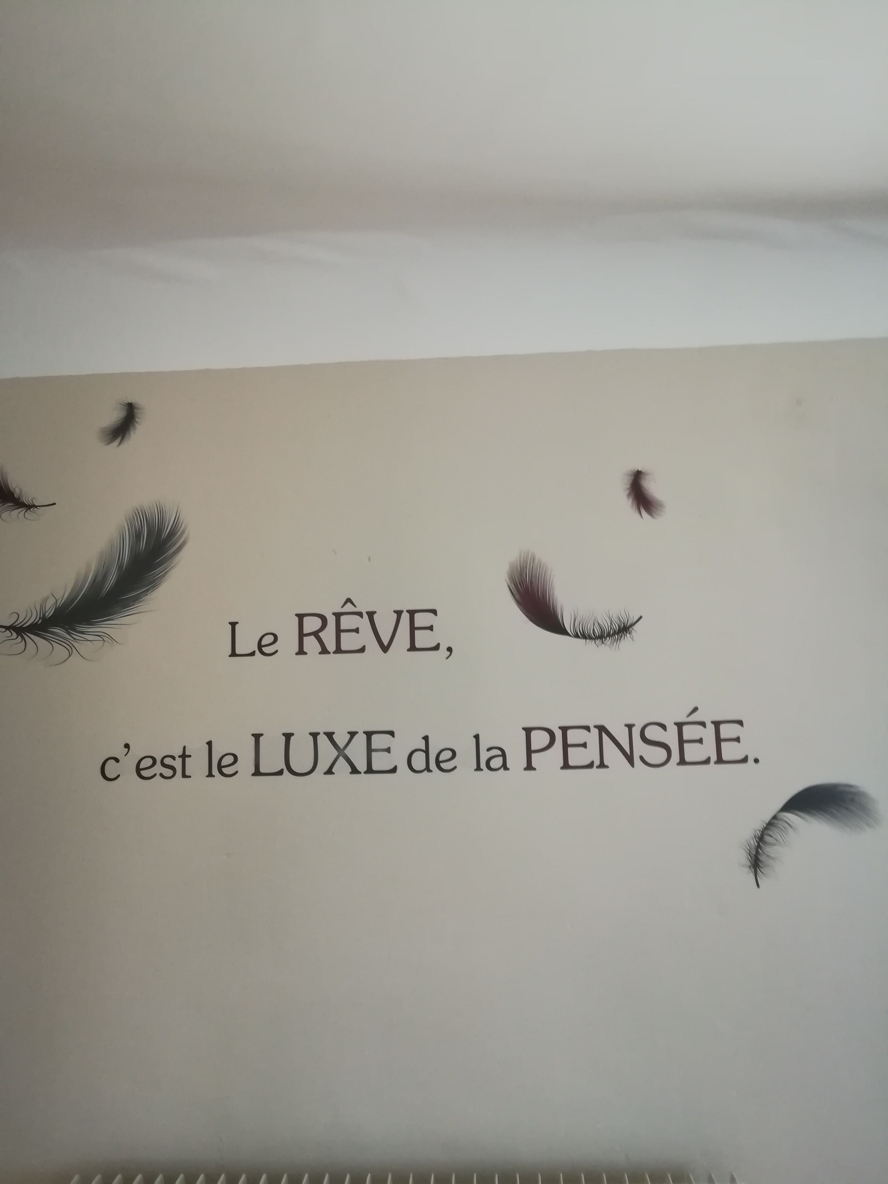 Een muur versierd met veertjes en een citaat in het Frans.