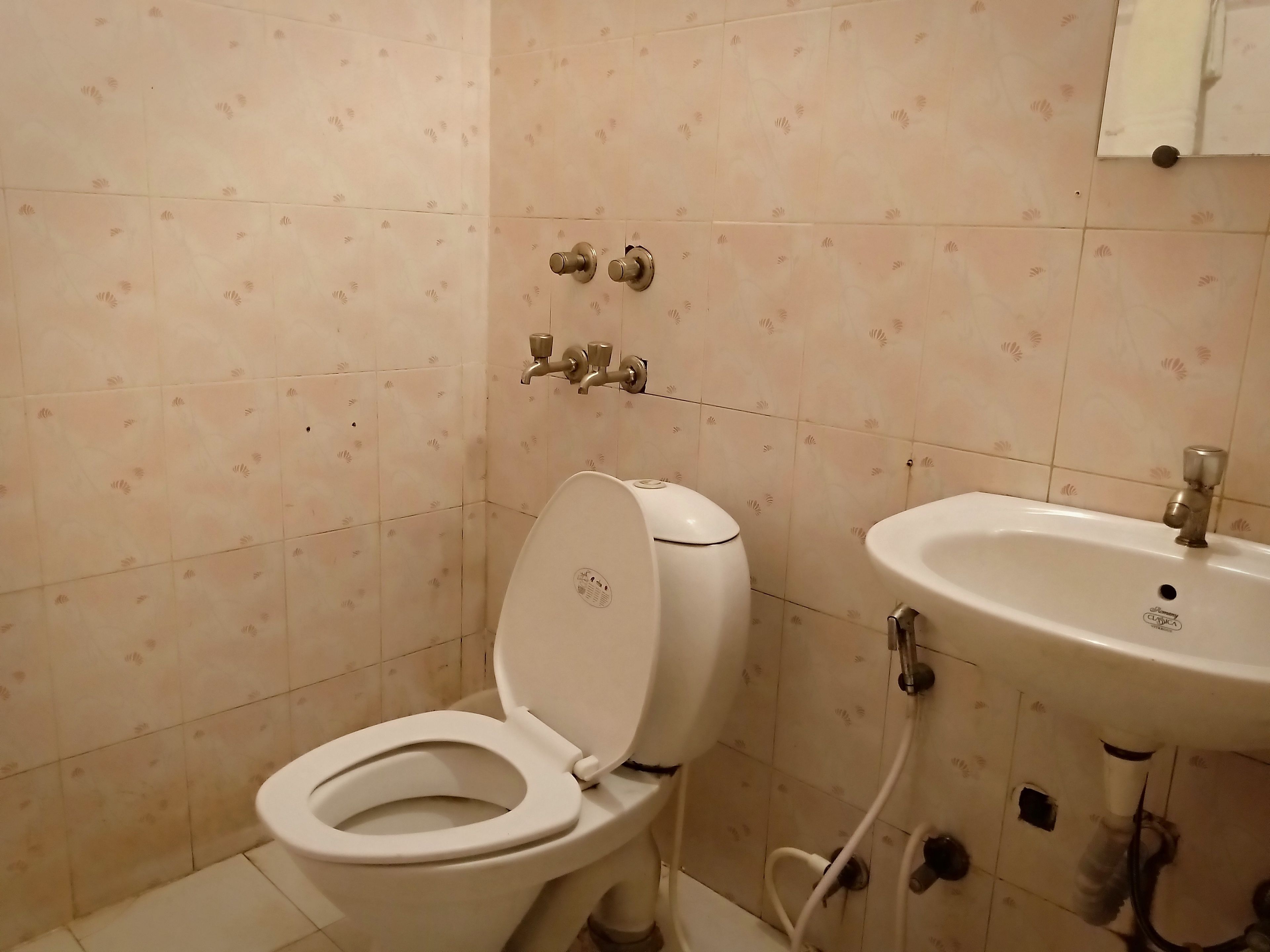 Deluxe Double Room | Bathroom | Shower, free toiletries, towels