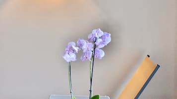 Una habitación con una mesa blanca, una orquídea en maceta y una silla blanca.