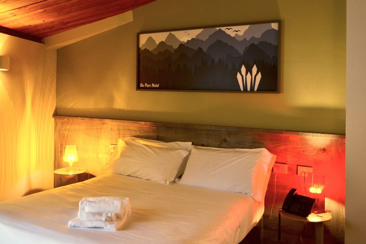 Habitación básica con 1 cama matrimonial o 2 individuales | Ropa de cama hipoalergénica y minibar