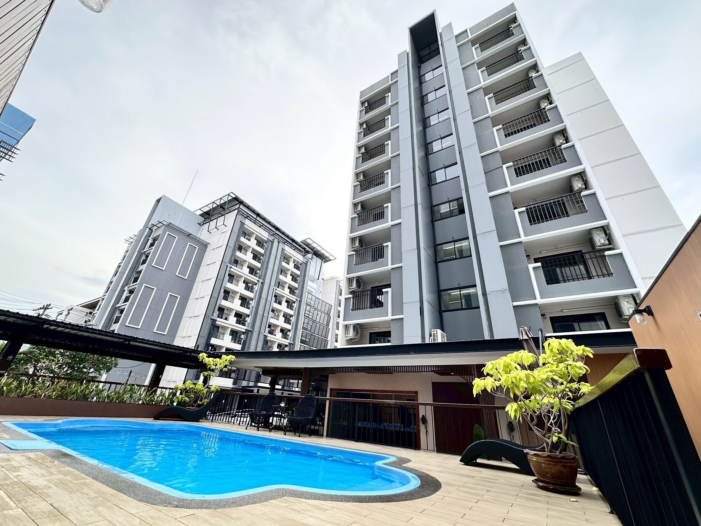 Outdoor pool, pool loungers