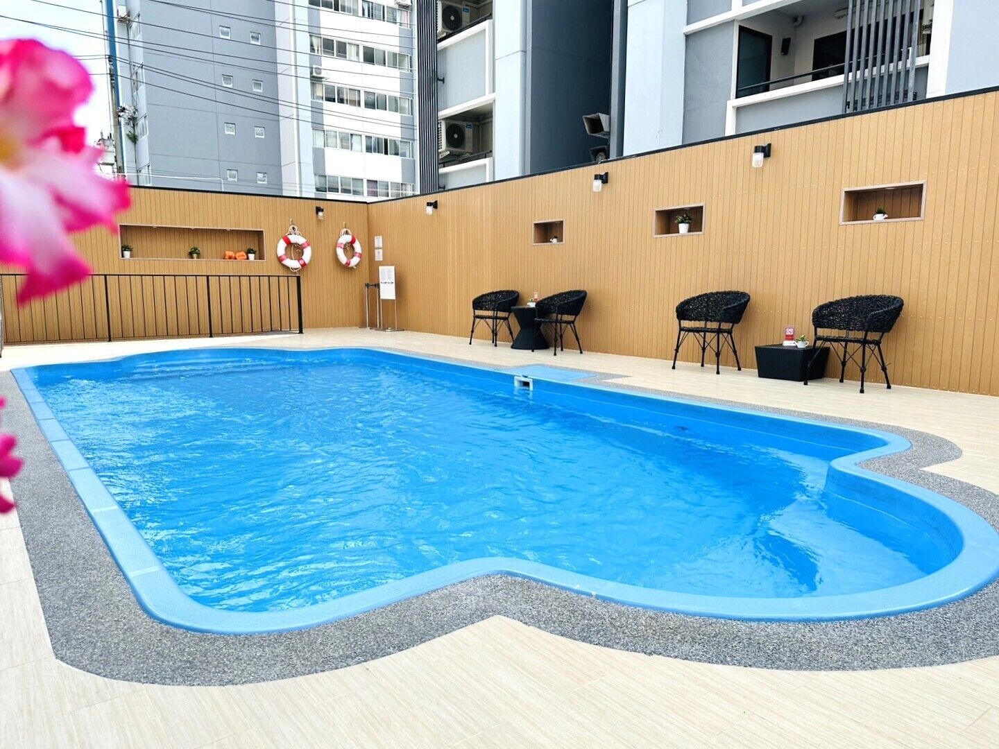 Outdoor pool, sun loungers