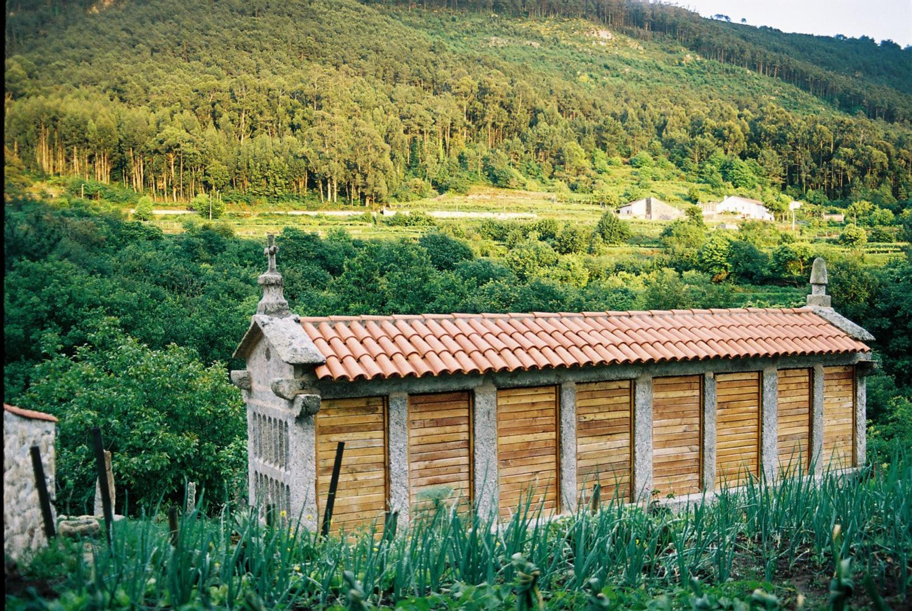 Photo - Budiño de Serraseca