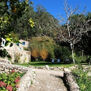 Budiño de Serraseca
