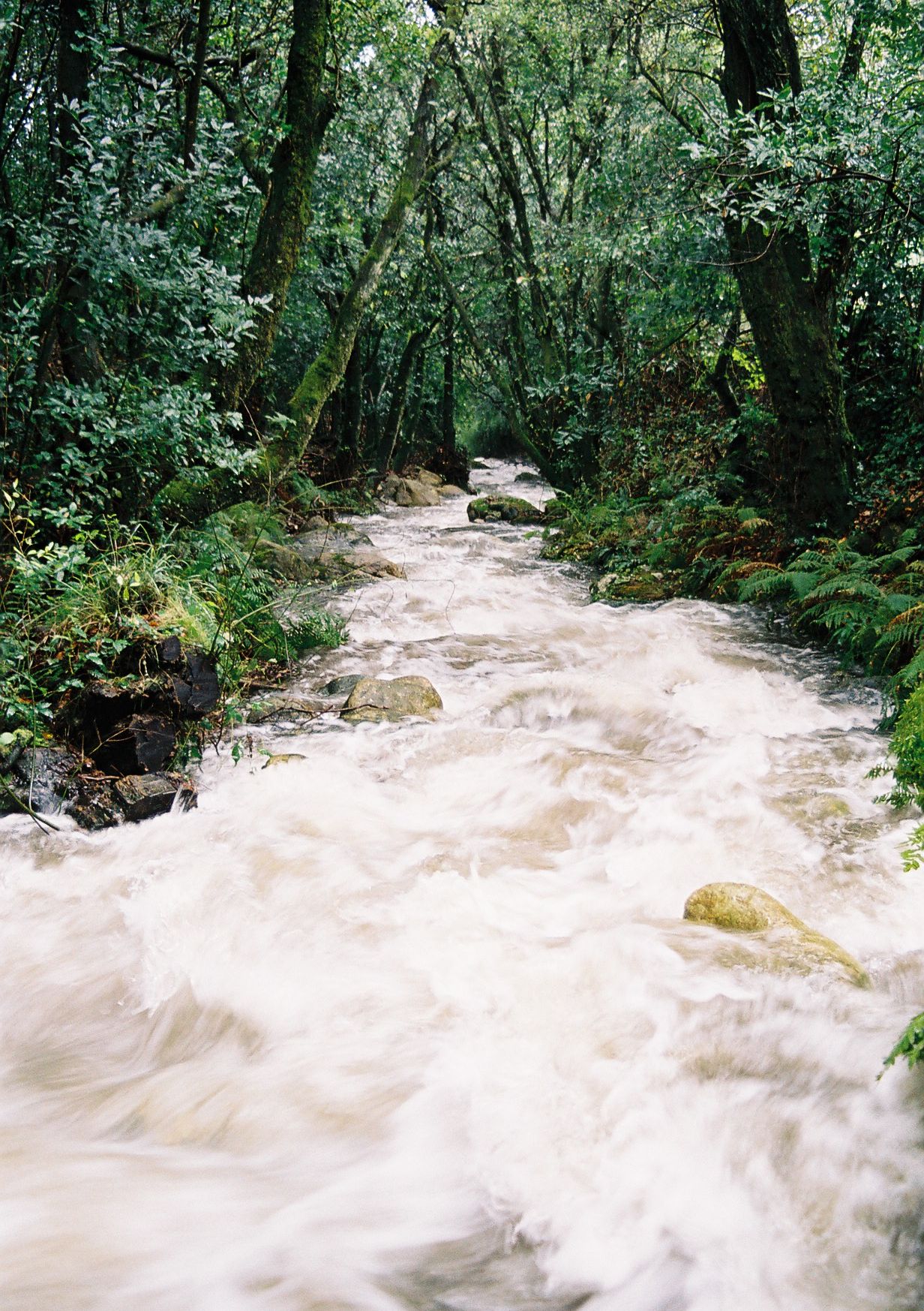 Photo - Budiño de Serraseca
