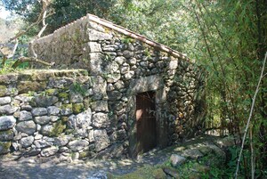 Una estructura de piedra con puerta de madera, rodeada de vegetación.