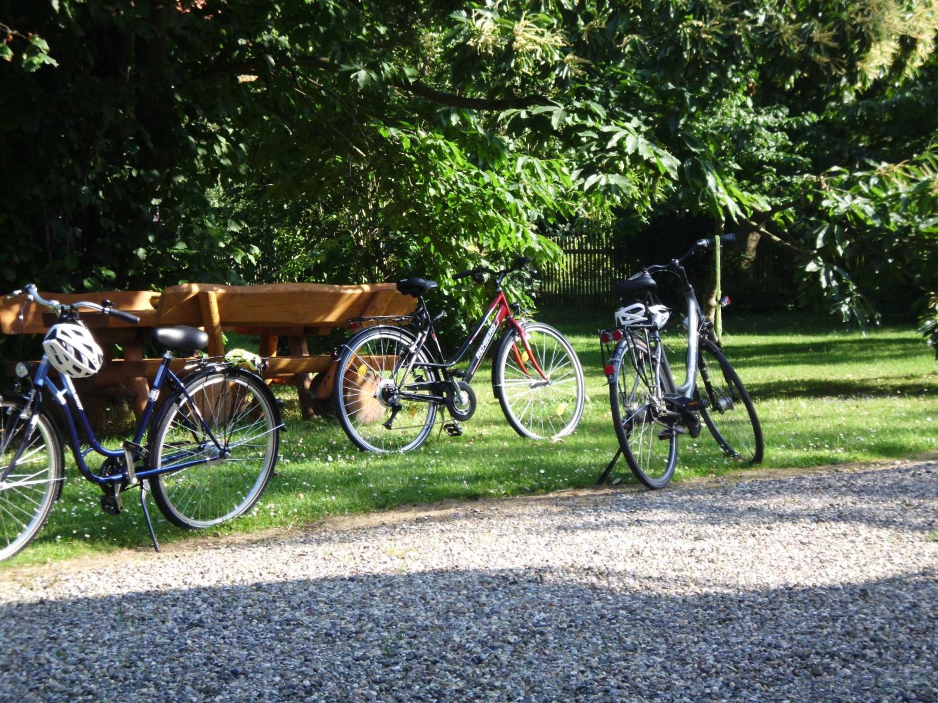 A gravel path with bicycles parked on the side.