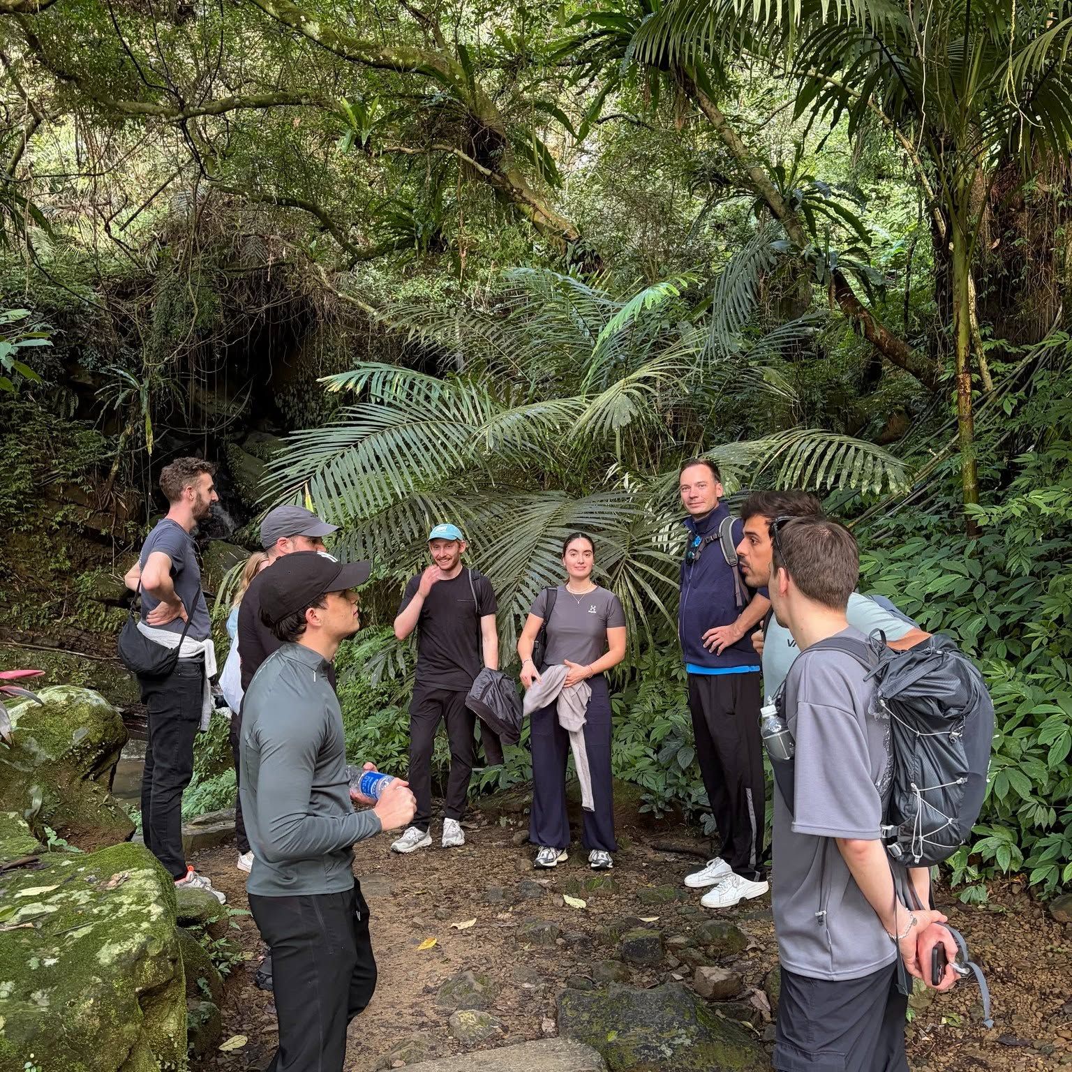 A group of people standing in a forested area with dense foliage and rocks.