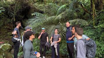 A group of people standing in a forested area with dense foliage and rocks.