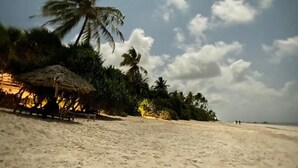 Une plage avec un abri à toit de chaume, des palmiers et une rive sablonneuse.