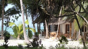Trên bãi biển, ghế dài tắm nắng, dù trên bãi biển