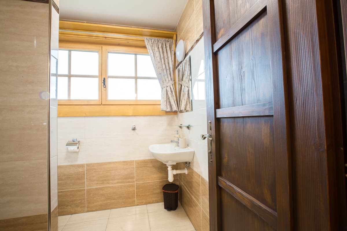 standard double room | bathroom | shower, free toiletries, hair dryer, bathrobes