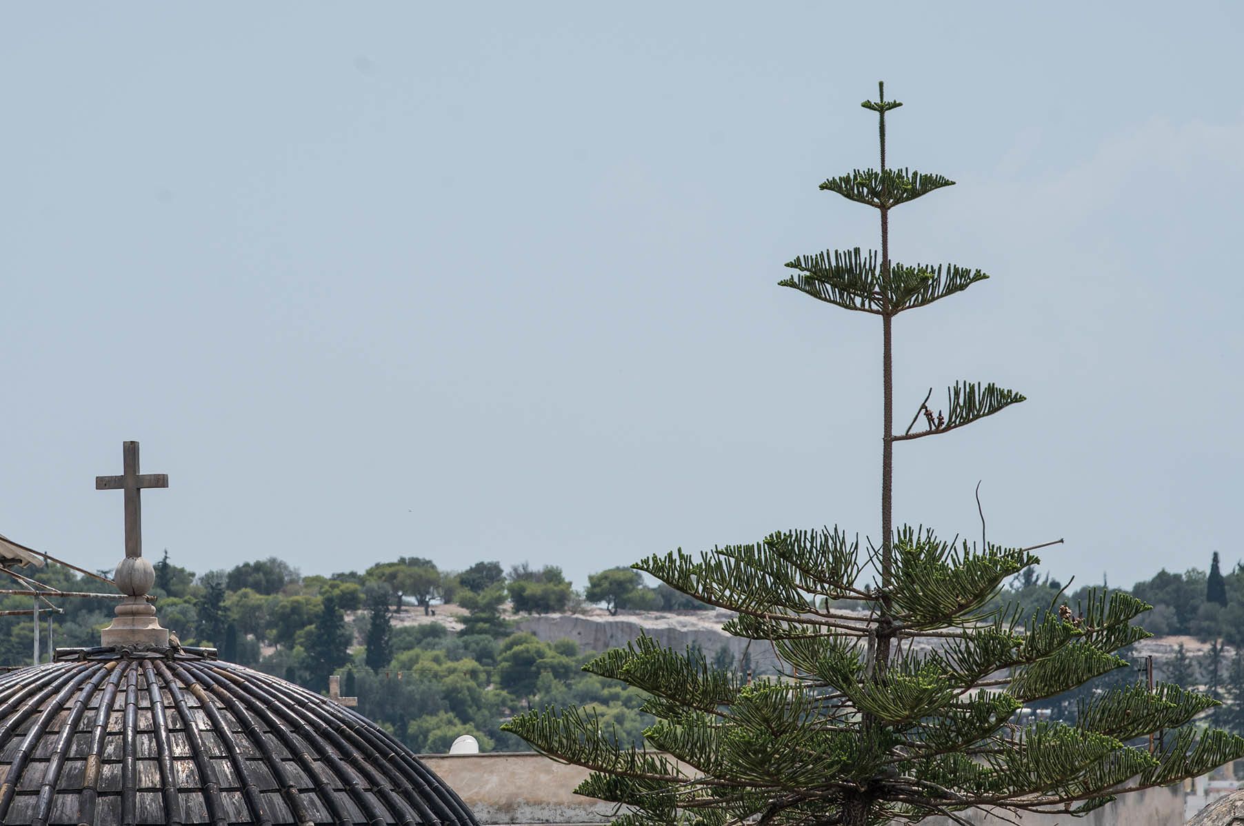 Foto - BED in Athens