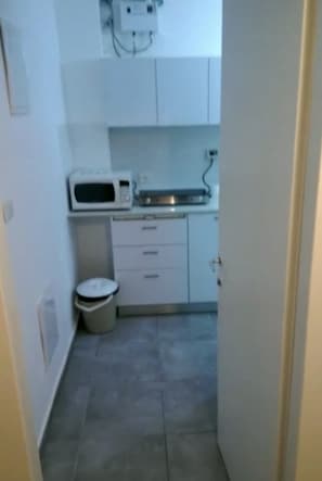 Großer Kühlschrank, Mikrowelle, Herdplatte, Wasserkocher