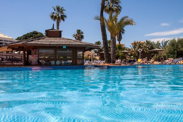 Una piscina al aire libre, sombrillas, sillones reclinables de piscina