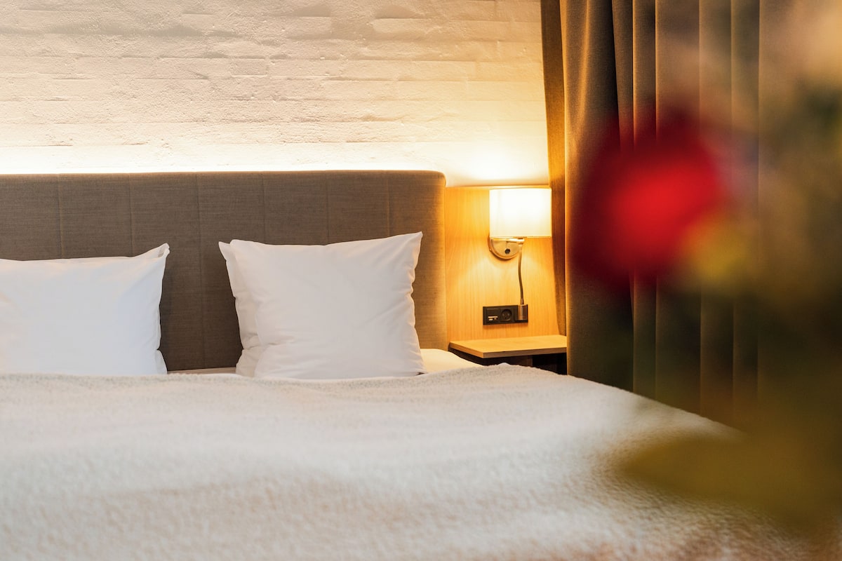 Habitación doble Deluxe | 1 habitación, ropa de cama hipoalergénica y escritorio