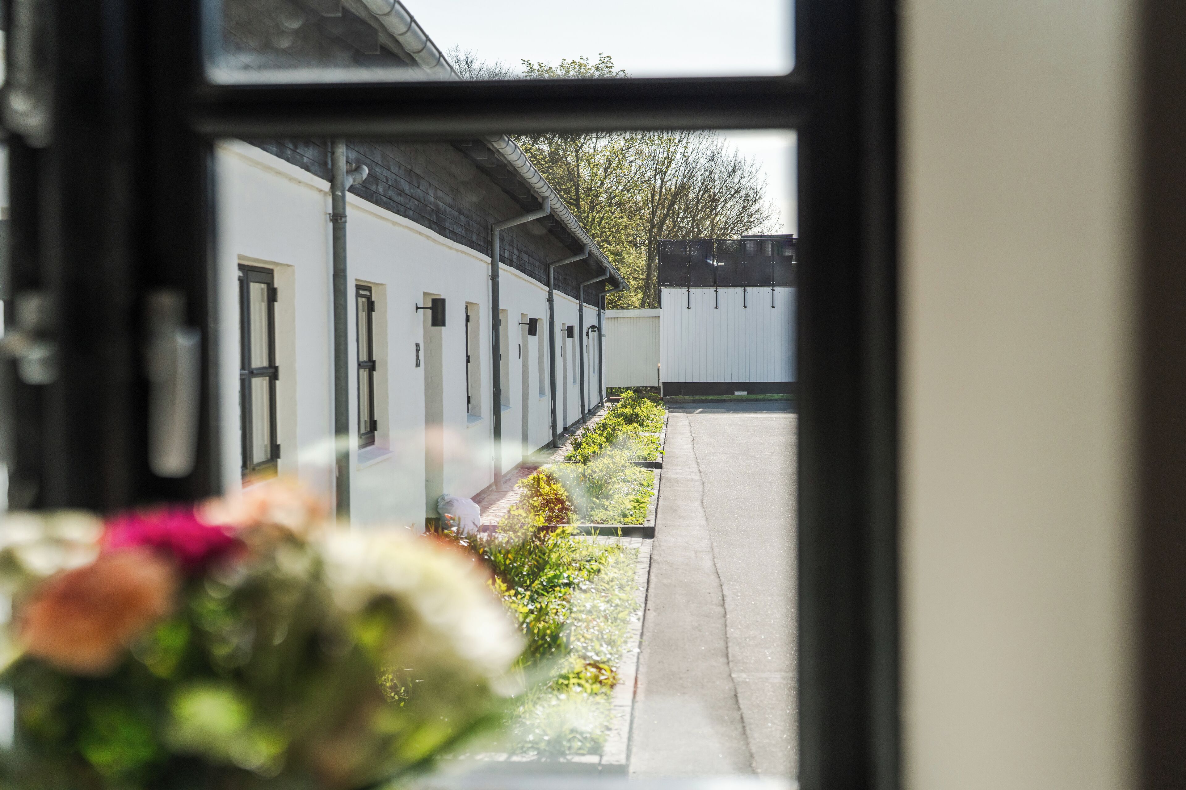 suite, 1 king bed | 1 bedroom, hypo-allergenic bedding, blackout curtains, soundproofing