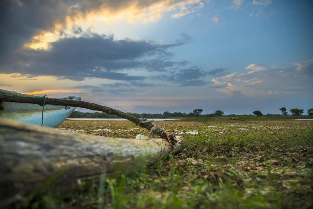 A rustic scene with a boat and a tree branch in a field.