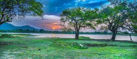 A serene lakeside landscape with trees and a sunset.