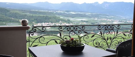 Habitación doble, vista a la montaña | Vista desde la habitación