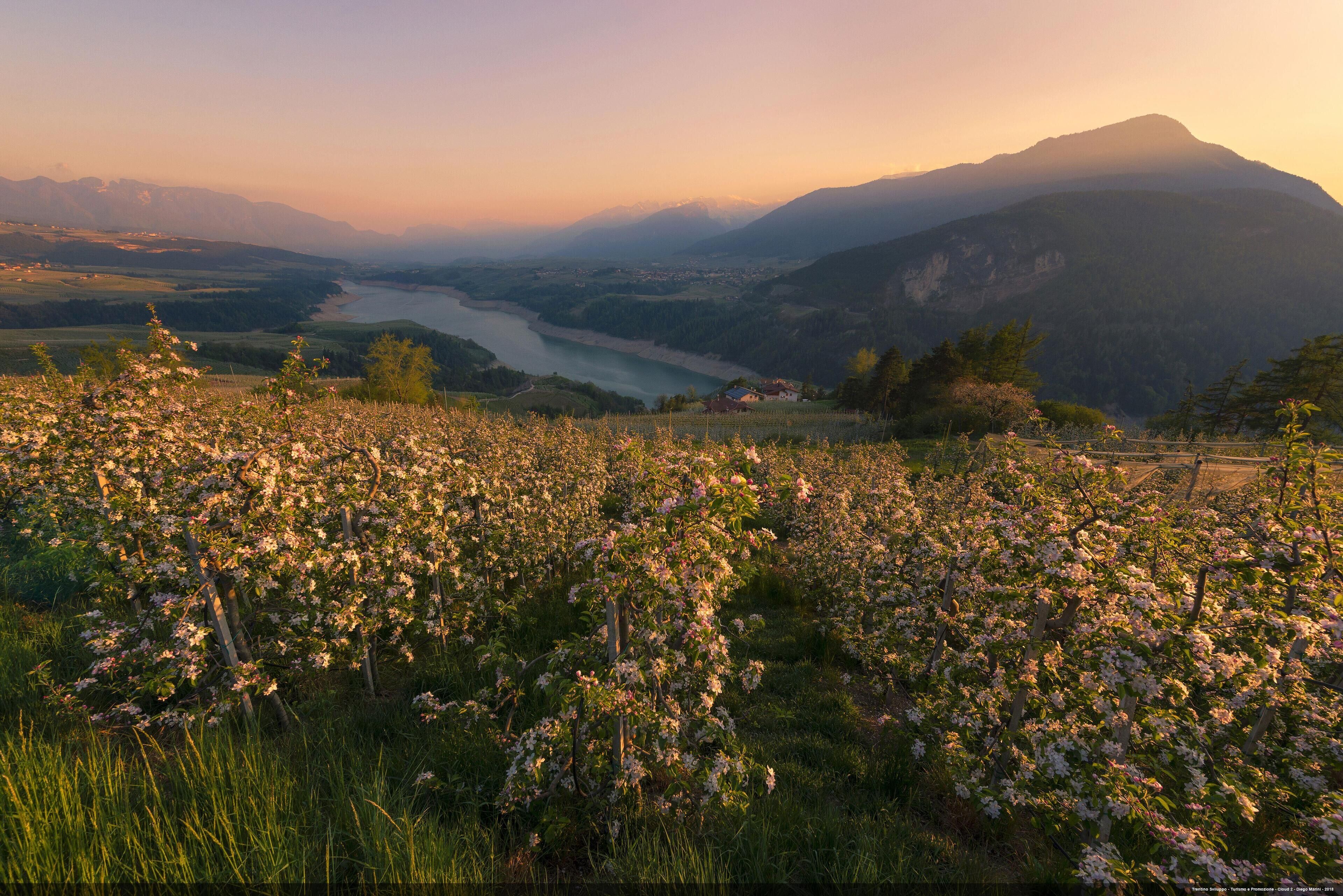 A mountainous landscape with a river, blooming flowers, and a small settlement.