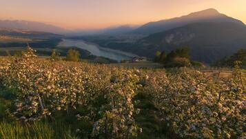A mountainous landscape with a river, blooming flowers, and a small settlement.