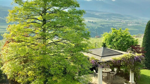 A gazebo with a tiled roof surrounded by lush greenery and a large tree. - Relais Villa Quercia (Ville d'Anaunia)