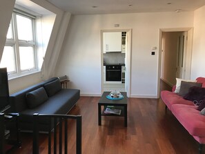 TV, DVD player, books, video library - High Street Kensington Rooftop Apartment (London)