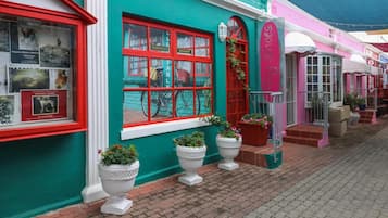 Une devanture colorée, avec une fenêtre encadrée de rouge, des plantes en pot et une enseigne indiquant « The Shoe Gallery ».