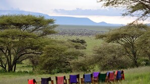 Vista desde la propiedad