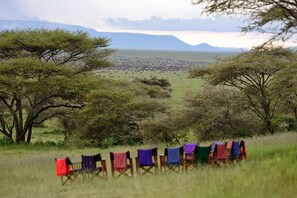 Quang cảnh nhìn từ nơi lưu trú