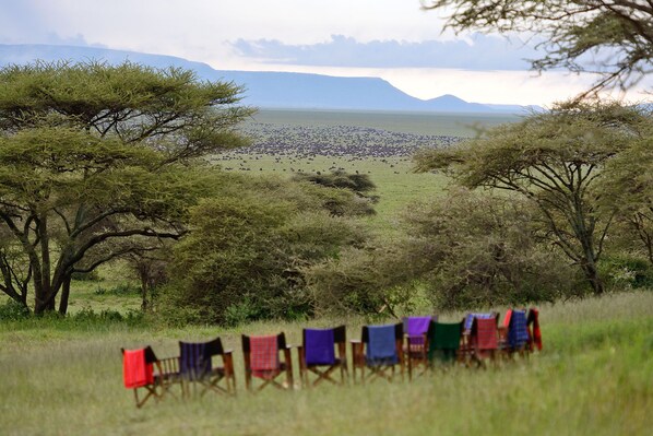 Pemandangan dari properti