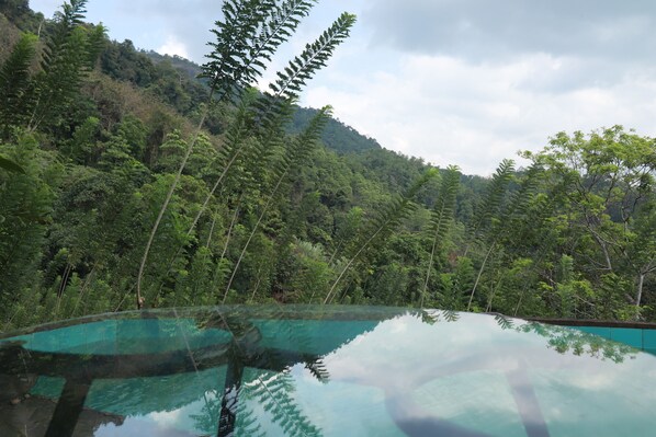 Superior Villa | 客房景觀