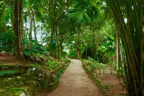 Property grounds - Paradise Eco Garden (Yatiyantota)
