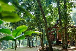 家庭客房, 2 張標準雙人床, 花園景 | 客房景觀