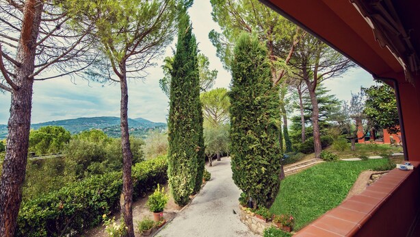 A pathway flanked by tall, slender trees leading to a building with a red exterior. - Villa Nuba,Perugino villa-apt.5min to downtown,playground,Eco pool,barbecue,wifi (Perugia)