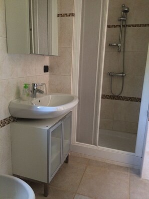 Shower, hair dryer, bidet, towels
