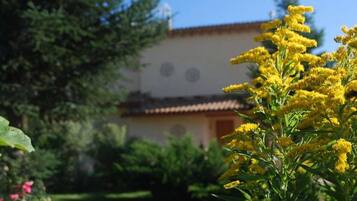 Un edificio con techo de tejas y un jardín con flores amarillas y arbustos verdes.