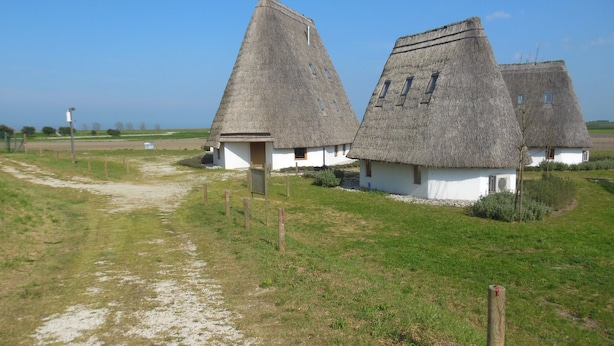 A rural area with thatched-roof houses and a dirt path. - Agriturismo da Rosi - villa with pool, Casa Sofia (codevigo)