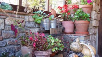 Tuin