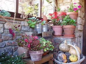 Garden - Mas de l'Arlequi Casa rural (Montblanc)