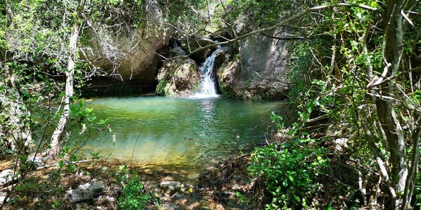 A natural waterfall in a forested area with clear water and surrounding greenery.