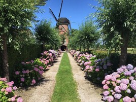 Jardines del alojamiento