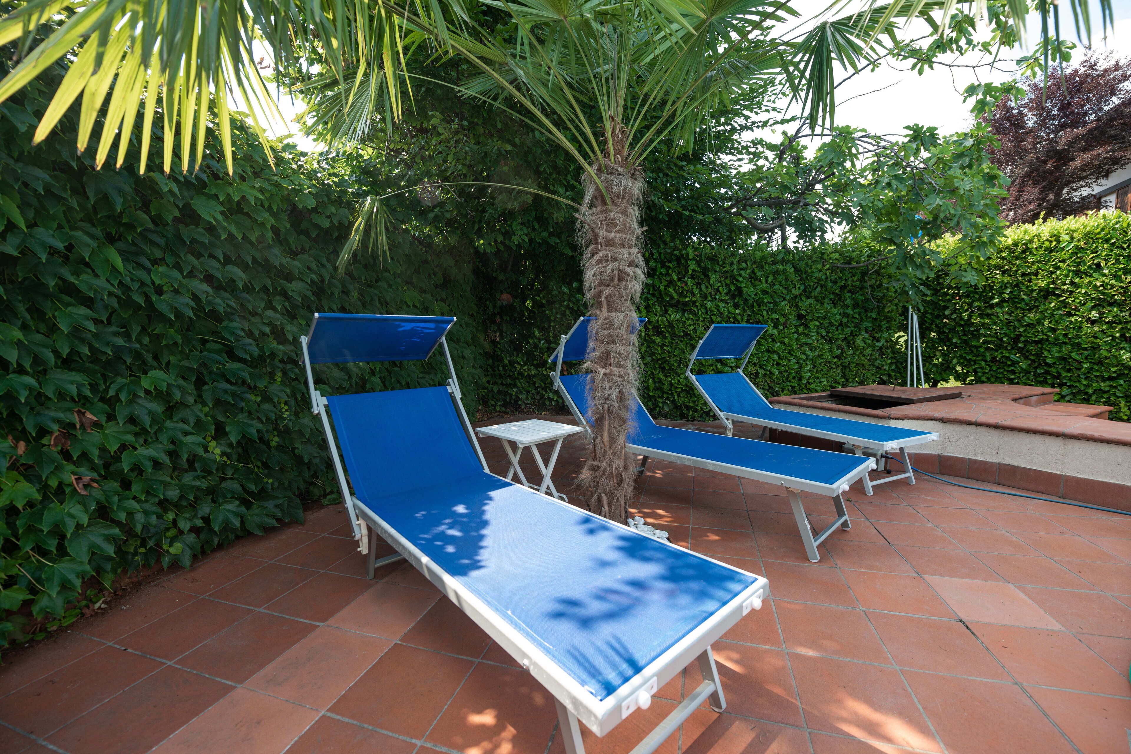 A patio with blue lounge chairs and a palm tree.