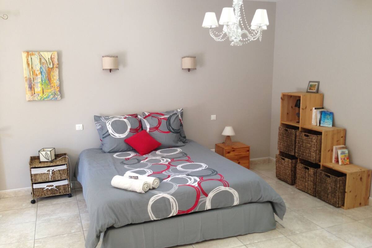 A bedroom with a bed, bedside tables, a chandelier, wall art, and a bookshelf.