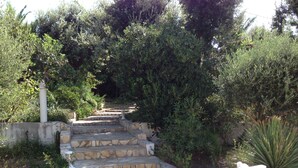 A stone staircase leading up a hill, surrounded by dense greenery and a statue at the bottom. - Chambres d'hôtes Rêv'de Thau (Balaruc-les-Bains)