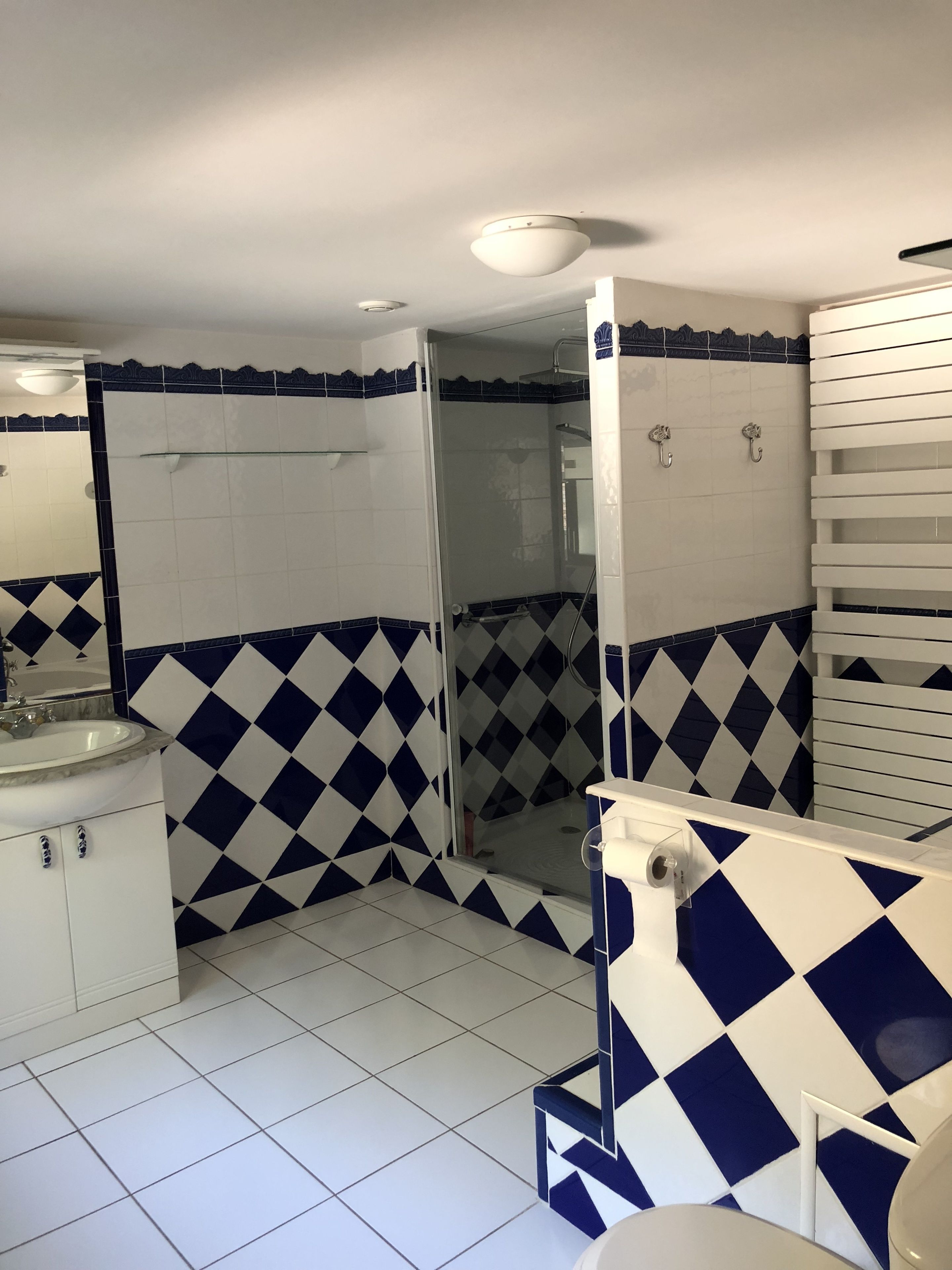 Casa de banho com uma pia branca, um espelho, chuveiro com porta de vidro e sanita.