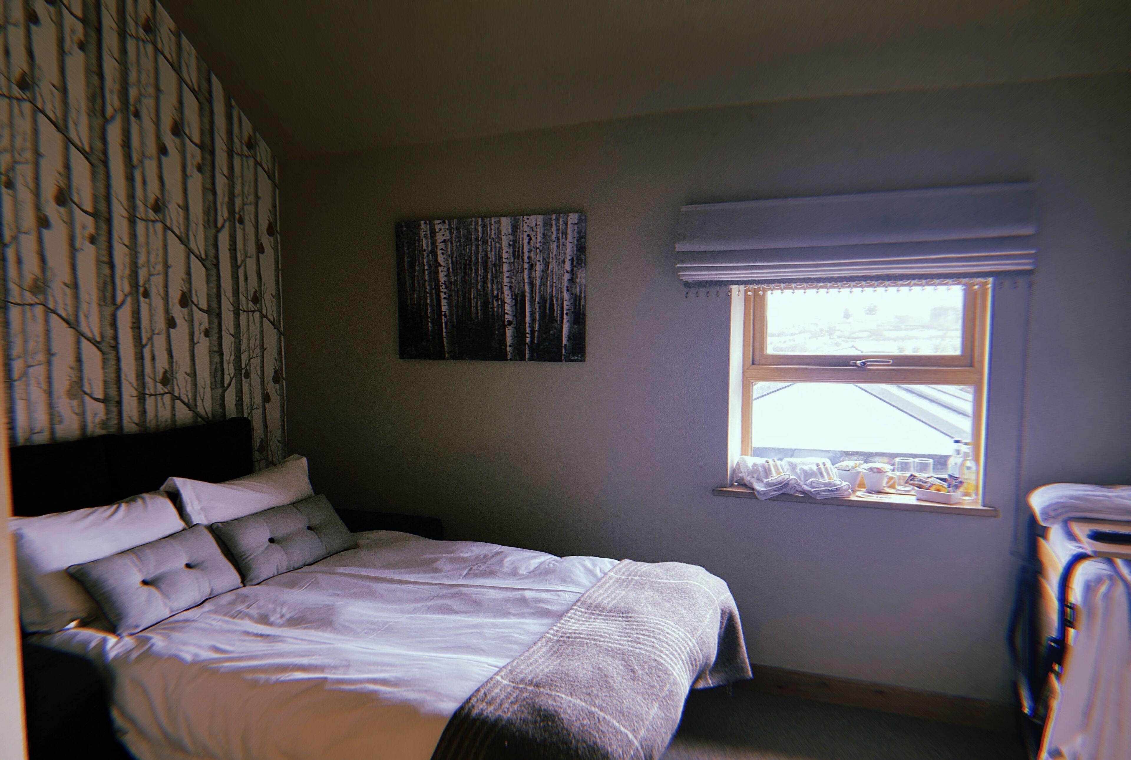 Een slaapkamer met een bed, een raam met uitzicht en een wand met een boommotief.