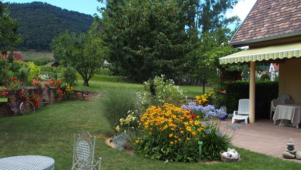 Un jardin avec un espace patio, une table et des chaises en métal, et un petit bâtiment doté d’un toit en tuiles.
