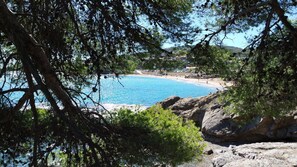Un paysage côtier caractérisé par une mer bleue et limpide, un terrain rocheux et une végétation luxuriante.